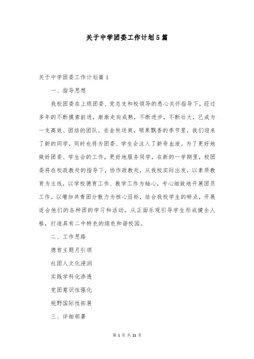 关于中学团委工作计划5篇