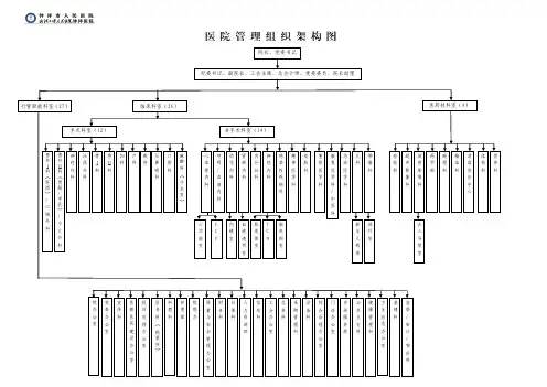 医院管理组织架构图