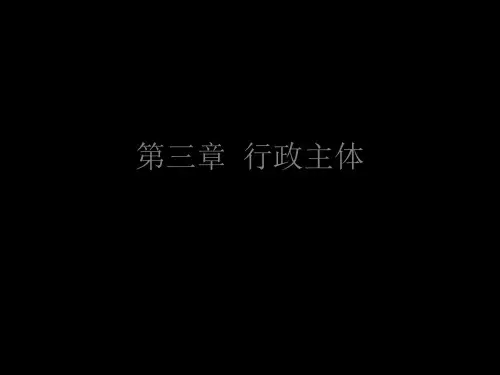 第三章 行政主体 33页PPT文档