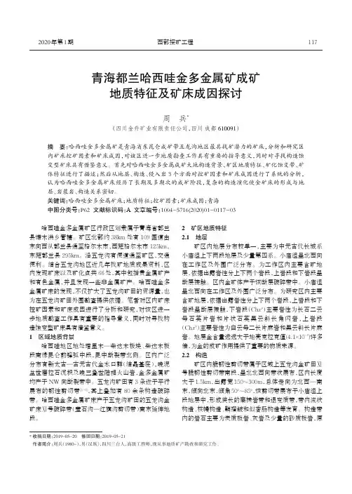 青海都兰哈西哇金多金属矿成矿地质特征及矿床成因探讨