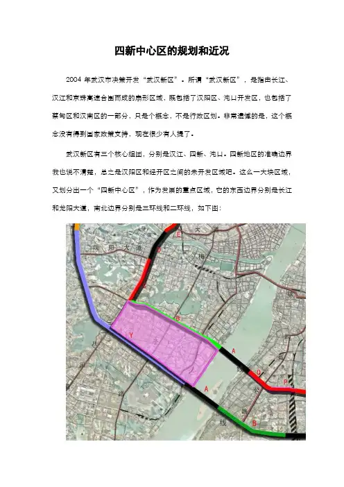 武汉四新新区中心区近期规划 21页