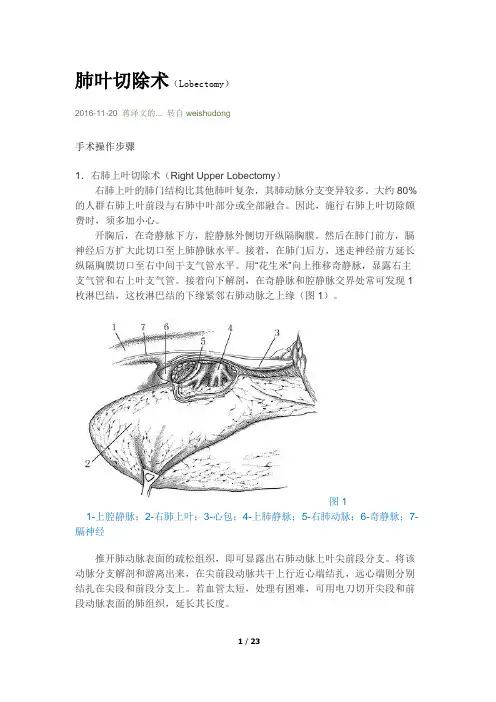 肺叶切除术