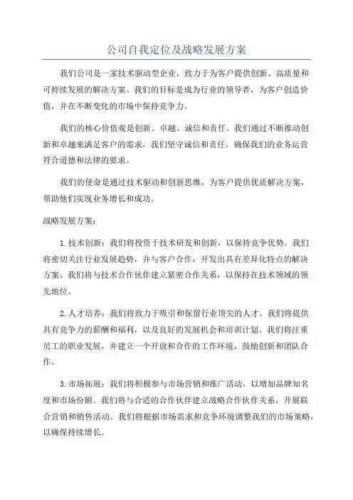 公司自我定位及战略发展方案