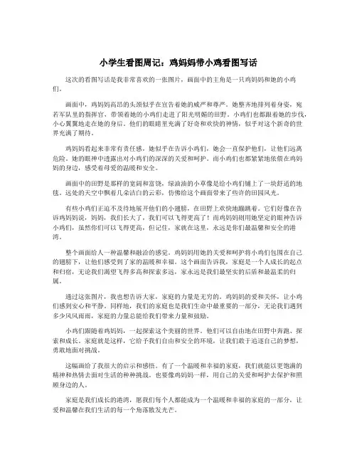 小学生看图周记：鸡妈妈带小鸡看图写话