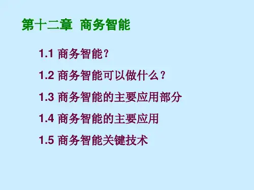 第十三章 商务智能
