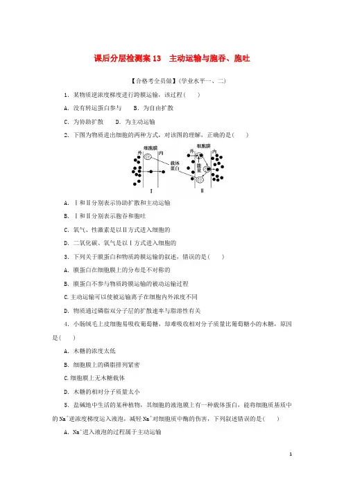2023新教材高中生物课后分层检测案13主动运输与胞吞胞吐新人教版必修1