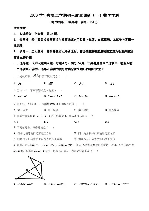 2024年上海市杨浦区九年级中考一模数学试题(原卷版)
