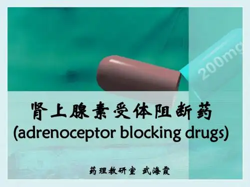 肾上腺素受体阻断药