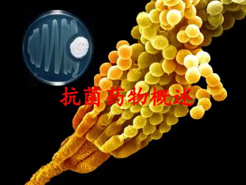 抗菌药物概论课件