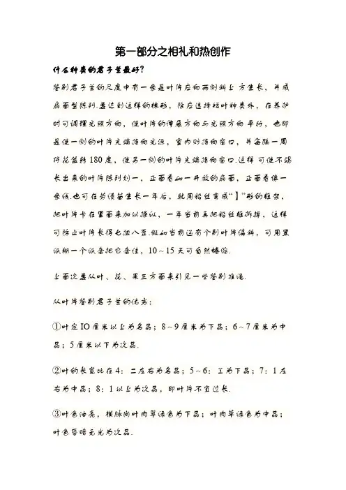 君子兰养殖技巧、辨认好坏技巧大全(带图片)