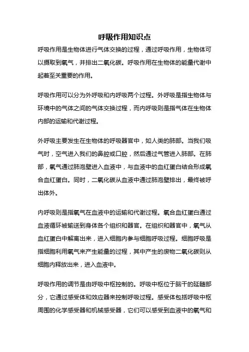 呼吸作用知识点
