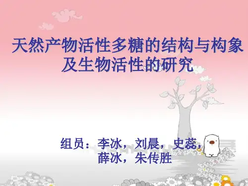 多糖结构构象及生物活性概述