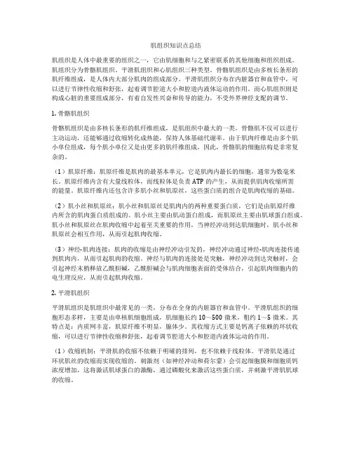 肌组织知识点总结