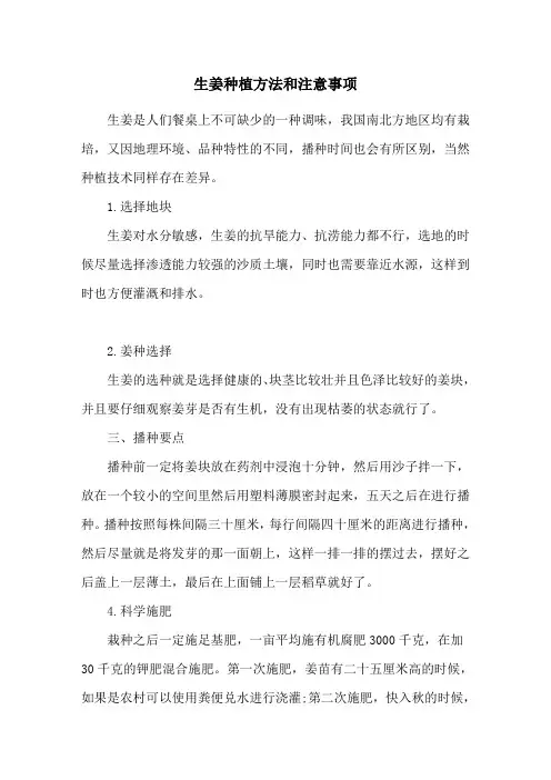 生姜种植方法和注意事项