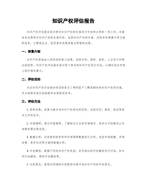 知识产权评估报告