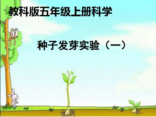五年级科学上册-种子发芽实验(一)-PPT