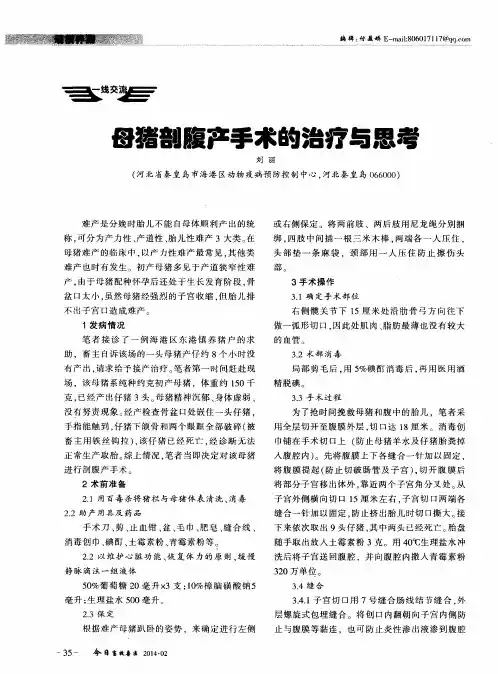 母猪剖腹产手术的治疗与思考
