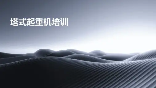 2024版塔式起重机培训