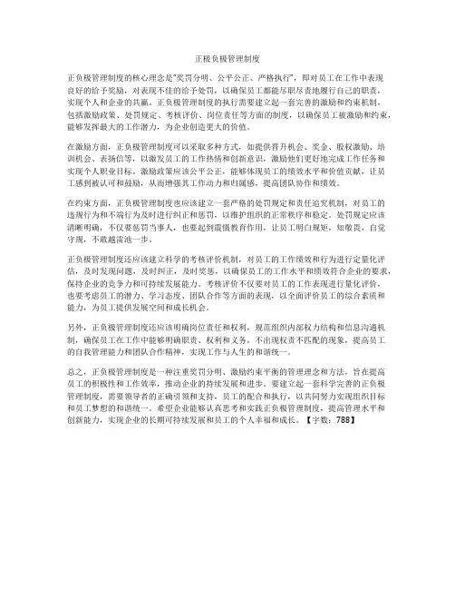 正极负极管理制度