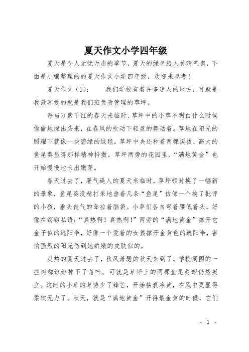 夏天作文小学四年级