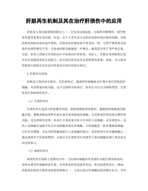 肝脏再生机制及其在治疗肝损伤中的应用