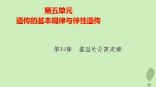 2025版高考生物一轮总复习第5单元遗传的基本规律与伴性遗传第14课基因的分离定律pptx课件