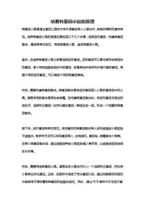 培养转基因小鼠的原理