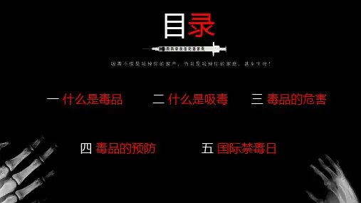 黑色珍爱生命远离毒品国际禁毒日禁毒宣传PPT内容讲授