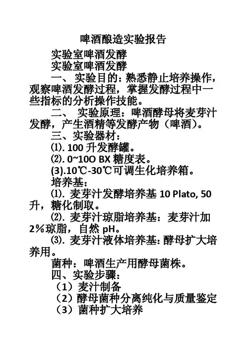啤酒酿造实验报告