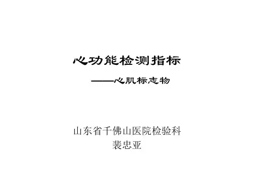 心功能检测指标 ——心肌标志物