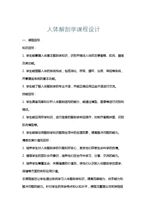 人体解剖学课程设计