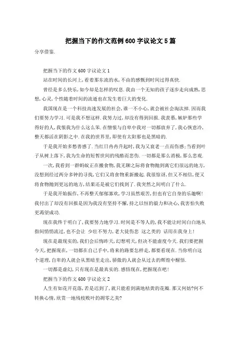 把握当下的作文范例600字议论文5篇