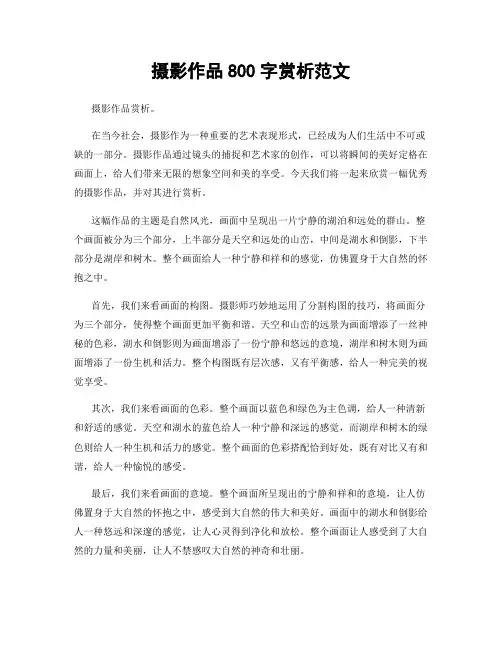 摄影作品800字赏析范文