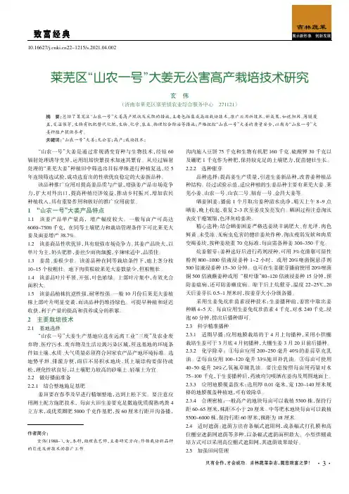 莱芜区“山农一号”大姜无公害高产栽培技术研究