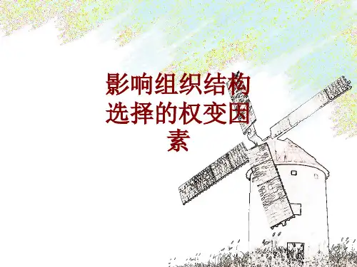 影响组织结构选择的权变因素课件