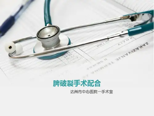 脾破裂手术ppt模版