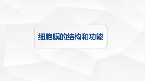 人教版高中生物必修一《细胞膜的结构和功能》细胞的基本结构PPT精品课件