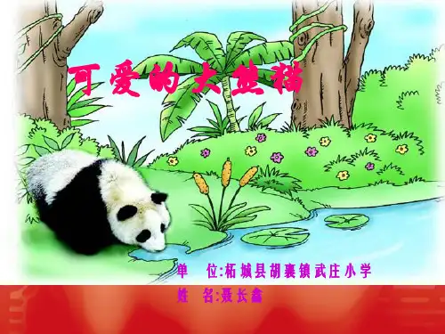 可爱的大熊猫课件