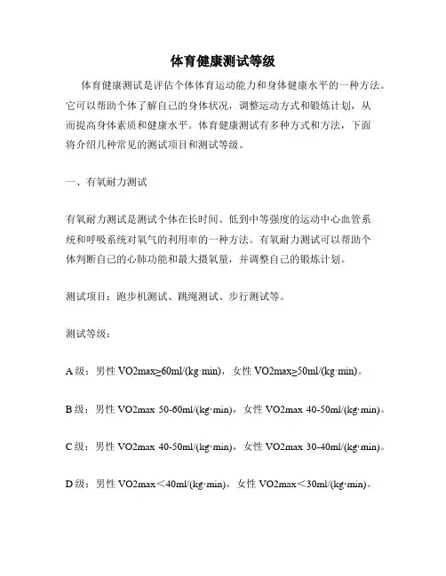 体育健康测试等级