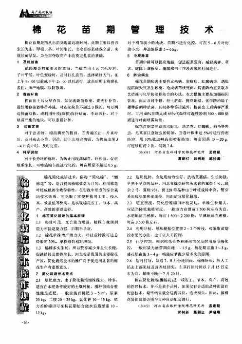 棉花苗期管理技术