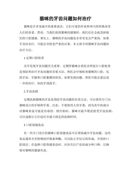 猫咪的牙齿问题如何治疗