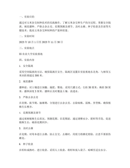 杂交制种技术实验报告