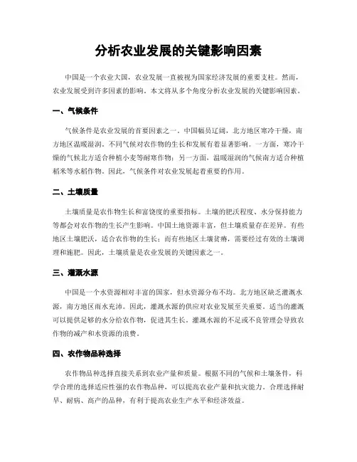 分析农业发展的关键影响因素
