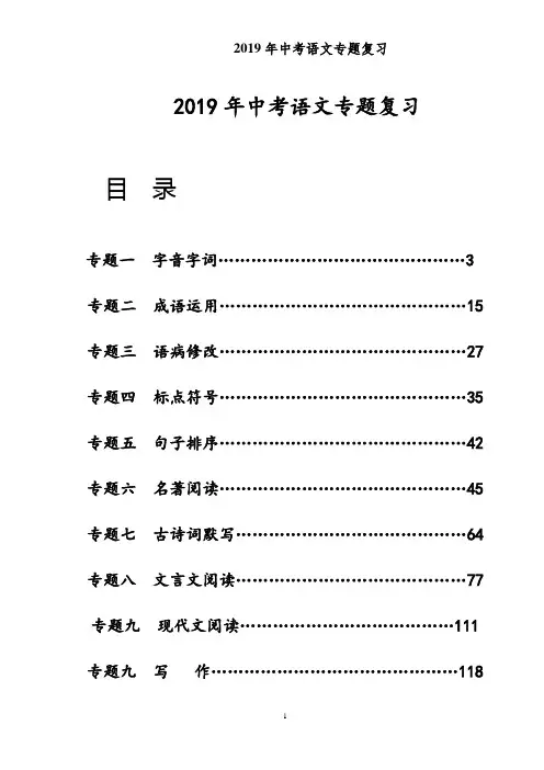 2019年中考语文专题复习