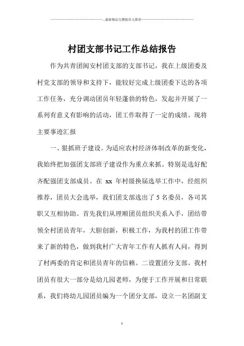 村团支部书记精编工作总结报告