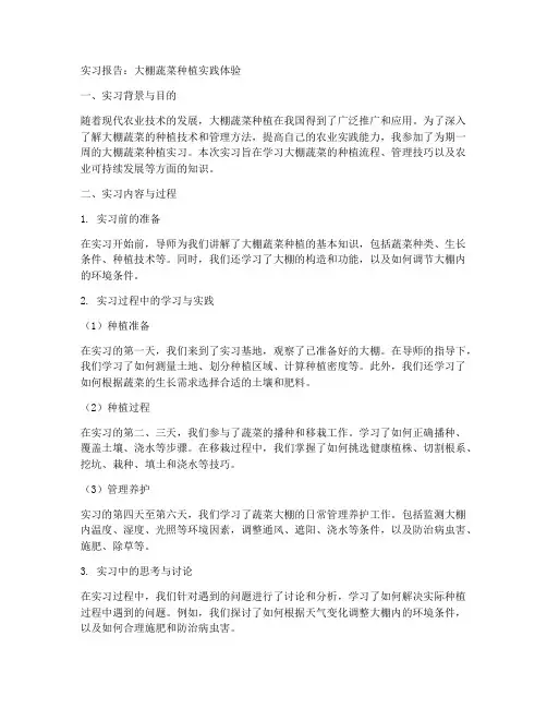 关于大棚蔬菜的实习报告