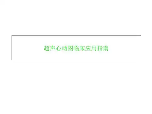 超声心动图临床应用指南 (1)全文