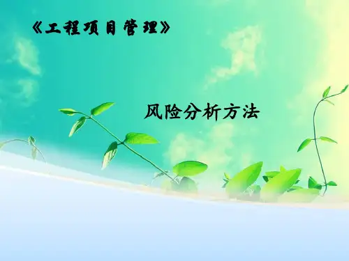 工程项目管理 风险分析方法PPT课件