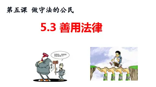 善用法律+课件 部编版道德与法治八年级上册