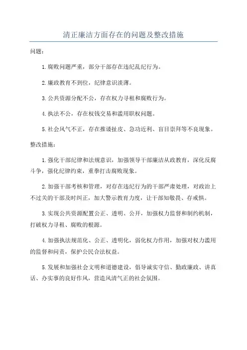 清正廉洁方面存在的问题及整改措施